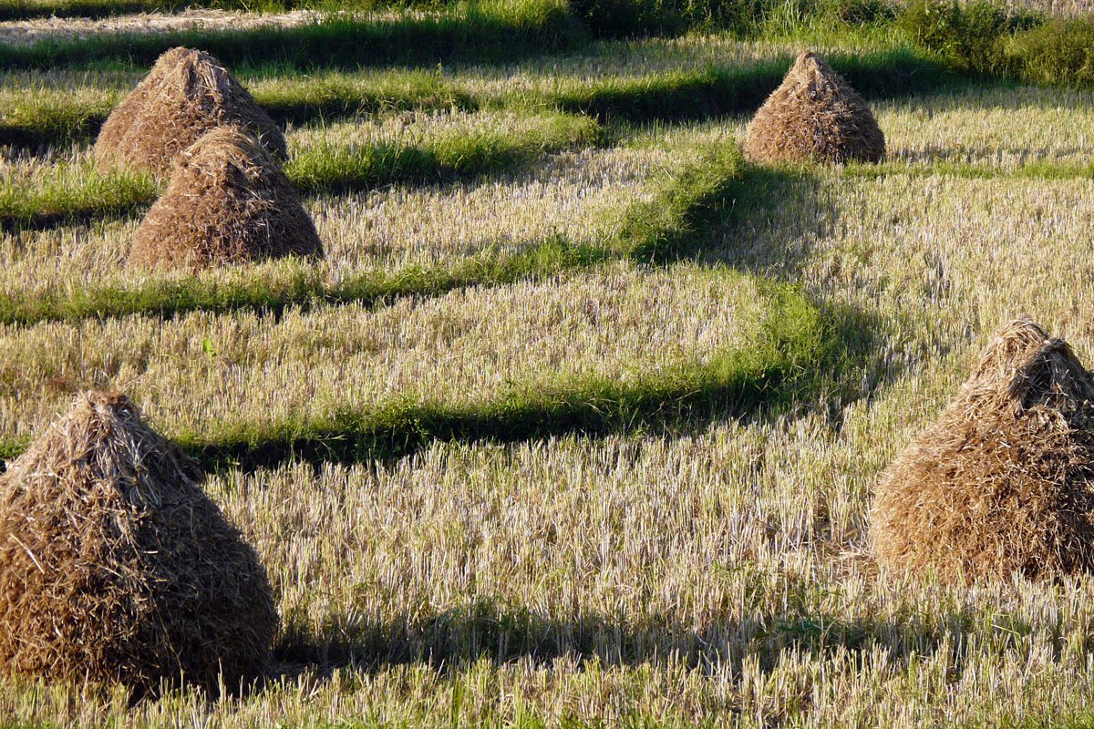 Vietnam Adventure Cycling To Laos 14 Days